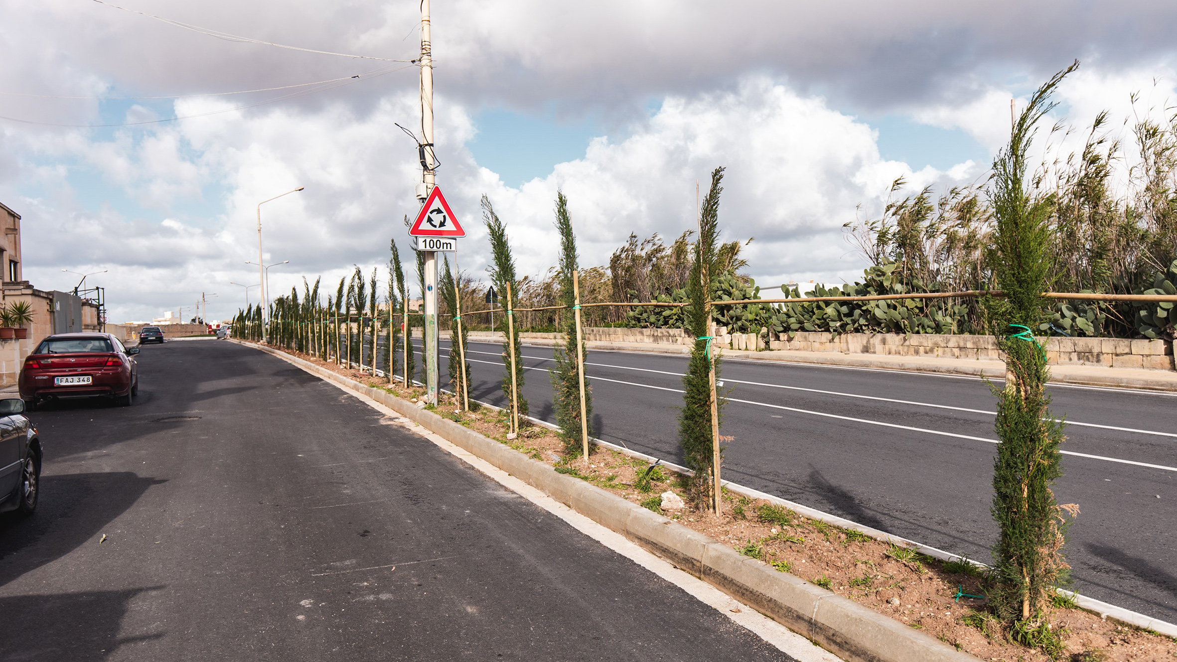 Infrastructure Malta plants 22162 trees in 2021 Infastructure Malta